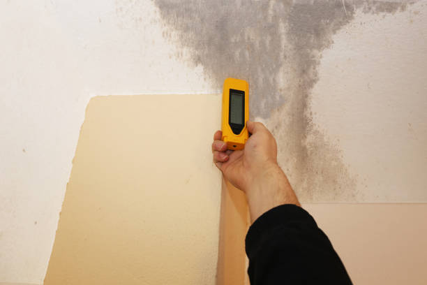 Best Biohazard Mold Removal  in Goulding, FL