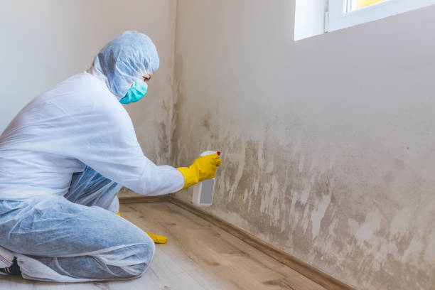 Best Crawl Space Mold Remediation  in Goulding, FL