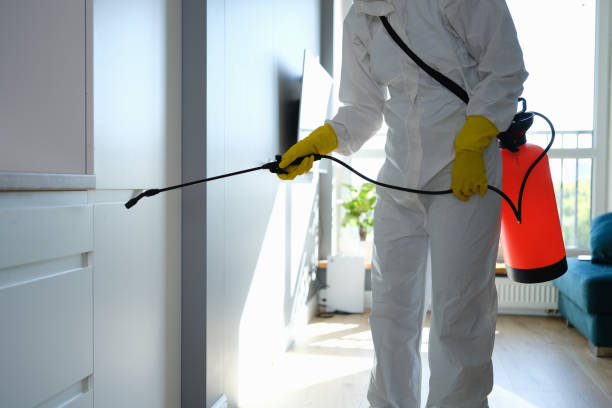 Best Biohazard Mold Removal  in Goulding, FL