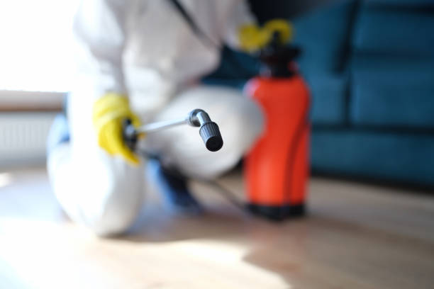 Dehumidification Services in Goulding, FL