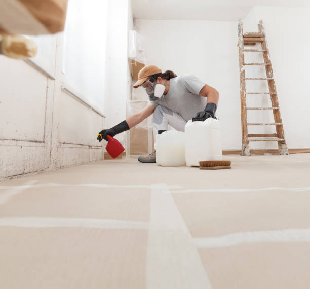 Best Asbestos and Lead Testing During Mold Inspection  in Goulding, FL